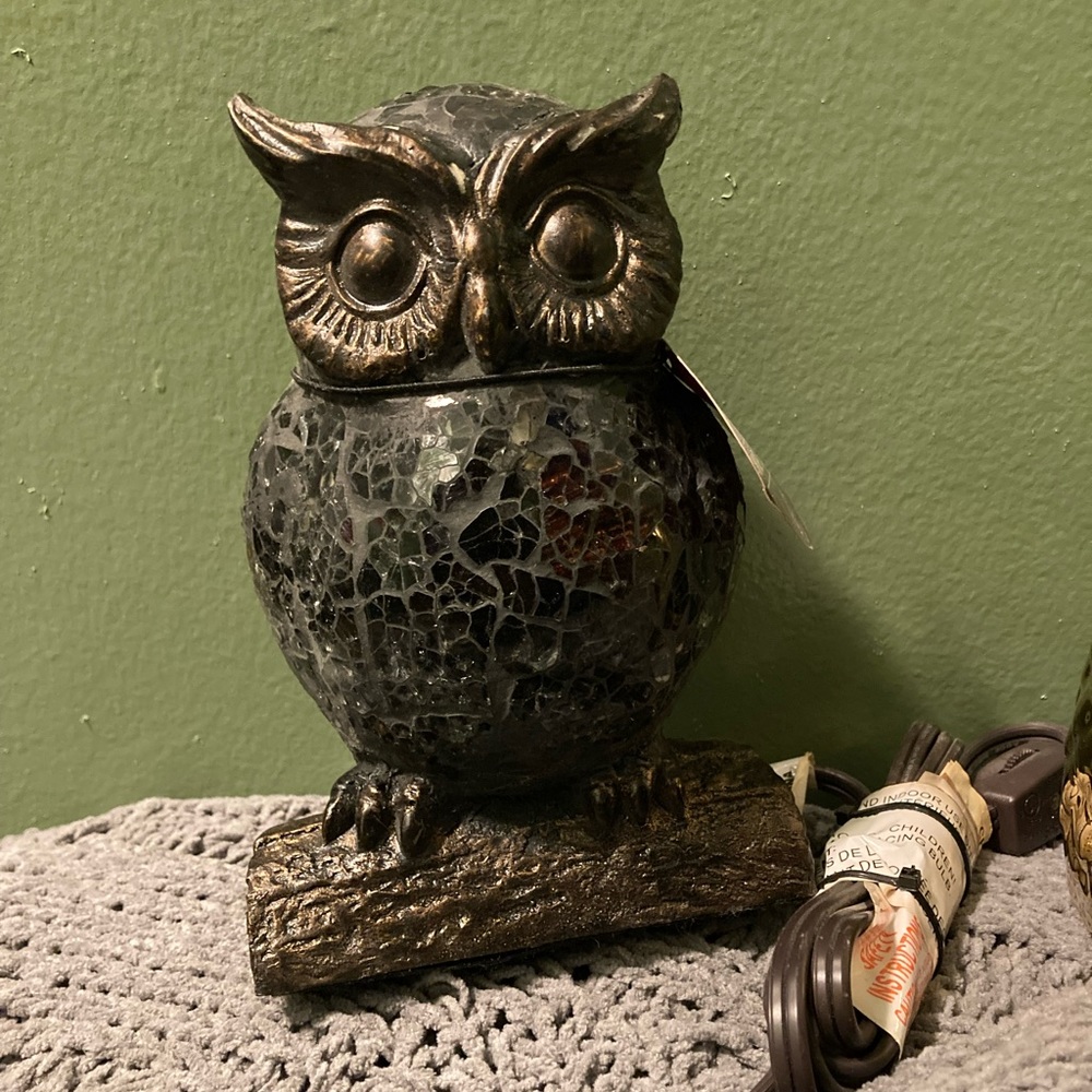 Owl lovers! A night light and mug!